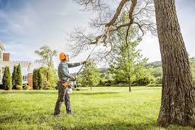 Reliable Philipsburg, PA Tree Care Solutions