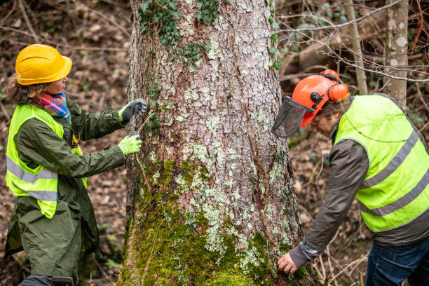 Soil Testing and Treatment in Philipsburg, PA